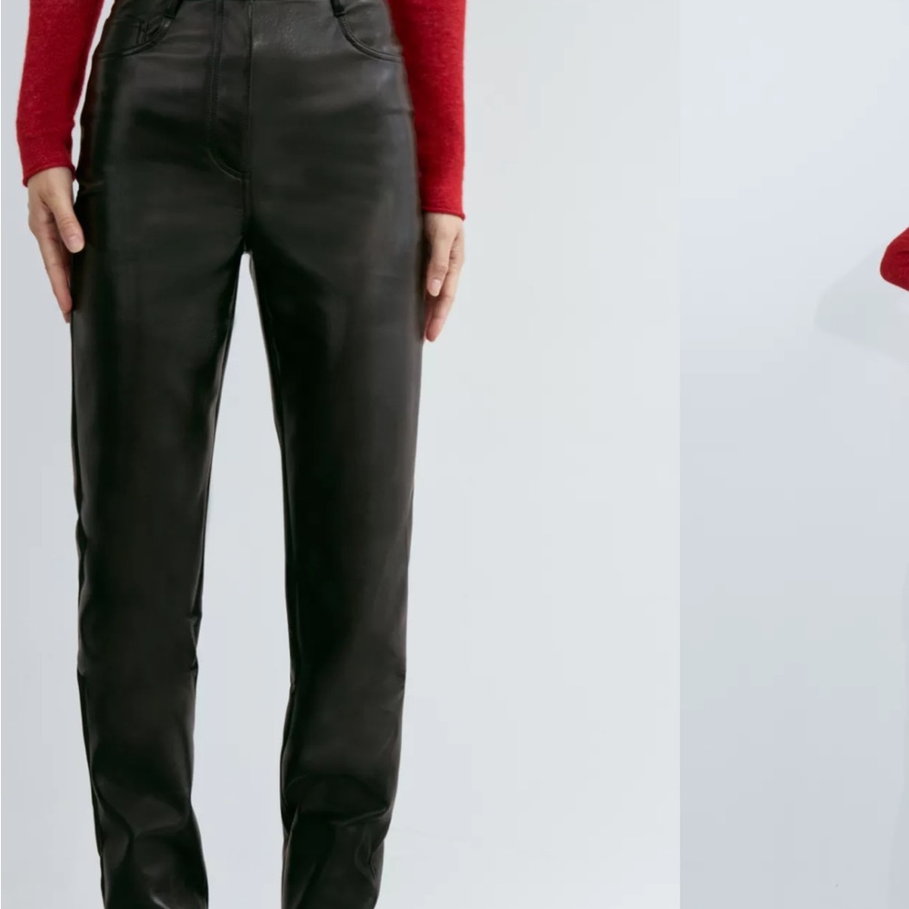 Aritzia leather pants